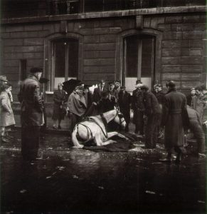doisneau_fallen_horse(1)