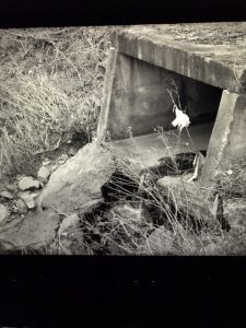 image0